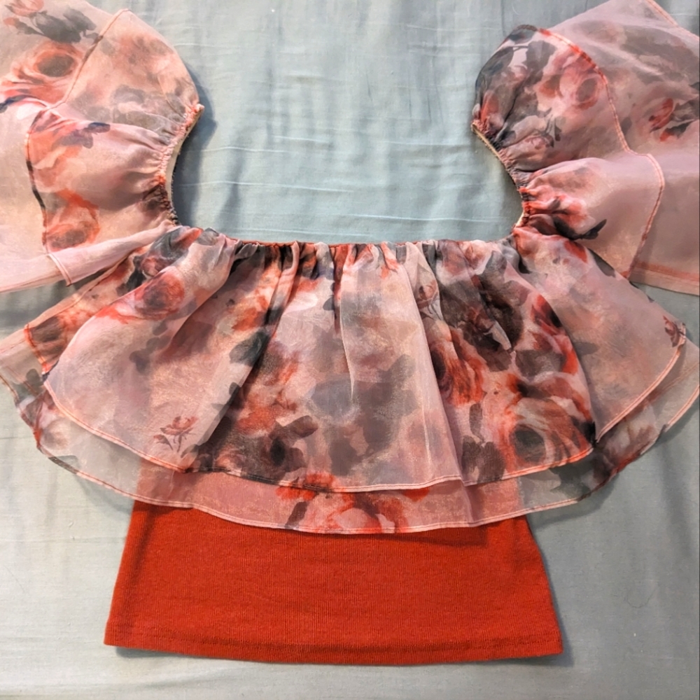 Anthropologie off the shoulder chiffon sleeves top xs nwt